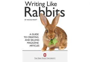 Измени предложения по образцу i like rabbits